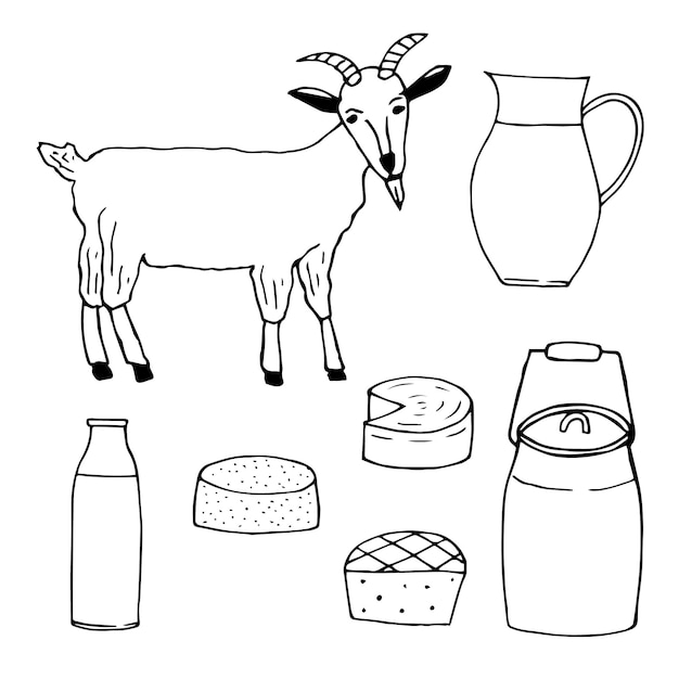 Goat and goat milk products set, vector illustration, hand drawing doodles