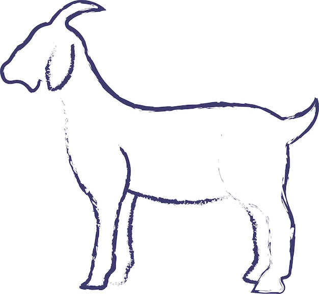 Vector goat hand drawn vector illustration