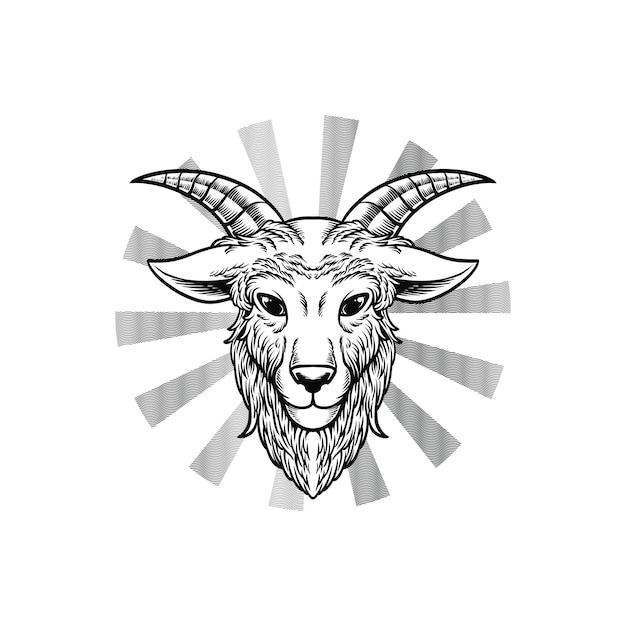 Vector goat head hand drawing vintage illustration