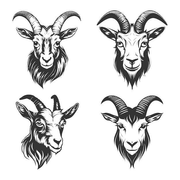 Vector goat head logo vector illustration