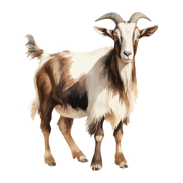 goat is standing in watercolor painting style