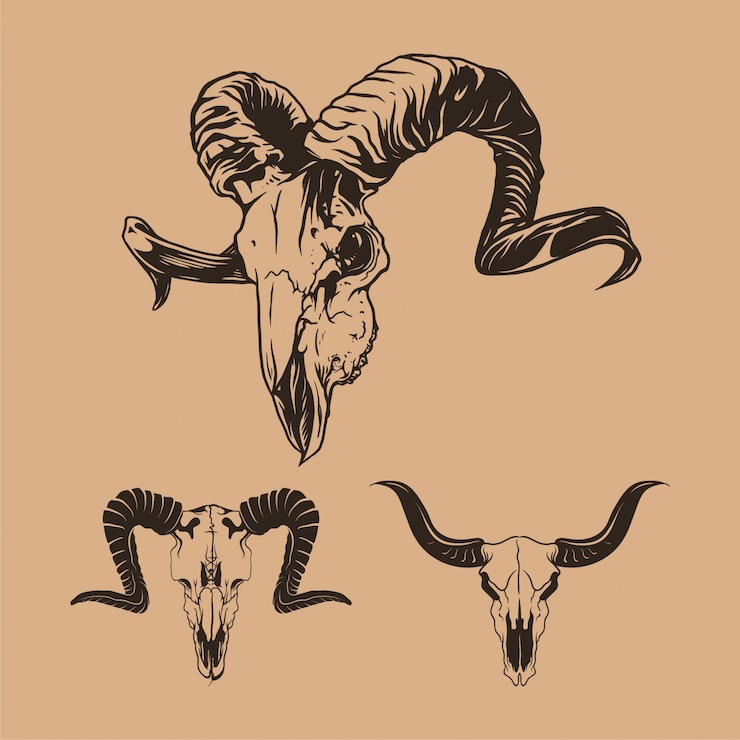 Vector goat skull hand drawn collection
