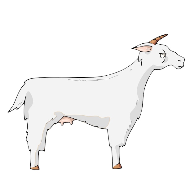 Goat on white background cute cartoon vector