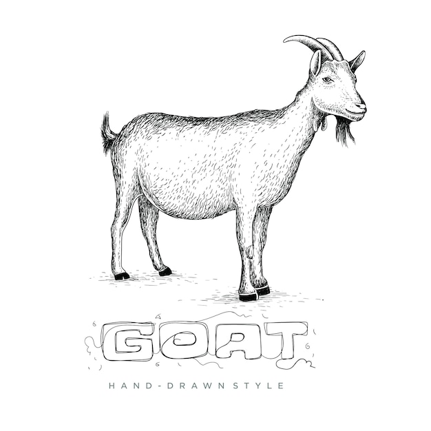  goat with style in hand drawing, animal illustration looks realistic, black and white abstract