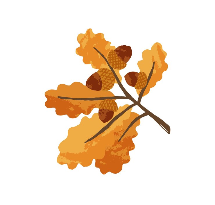 Vector gold autumn leaves and acorns on oak tree branch. sprig with fall leaf and nuts of quercus. yellow september twig of foliage plant. flat vector illustration isolated on white background.