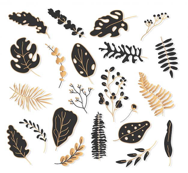 Gold black tropical leaf botanical set.