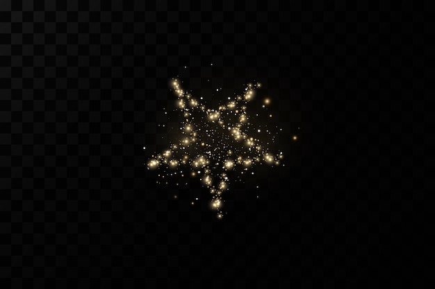 Vector gold christmas star luxury decorationdust