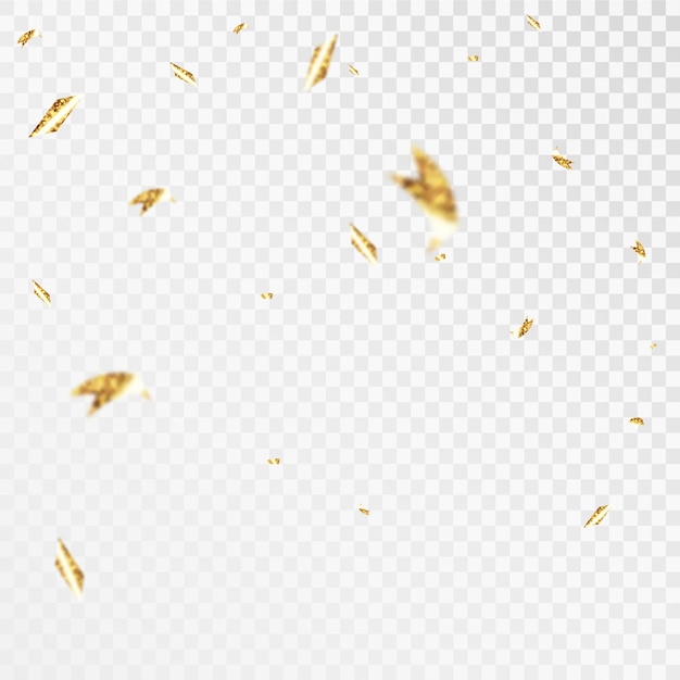 Gold confetti falls. confetti, streamer, tinsel on a transparent background for design and congratul