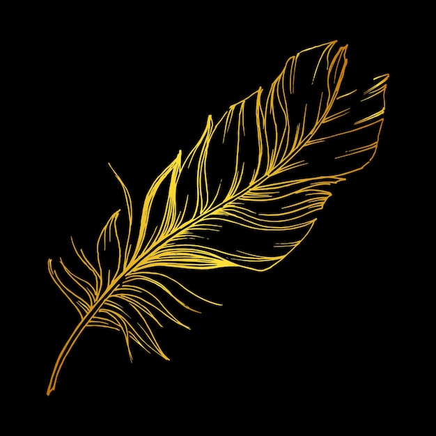 Gold feather on a black background