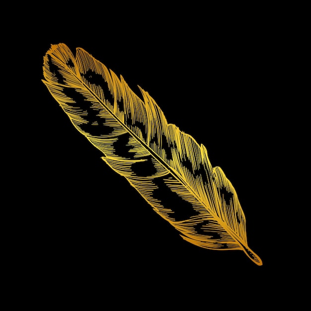 A gold feather with a black background