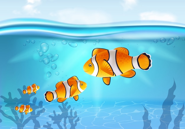 Vector gold fish underwater