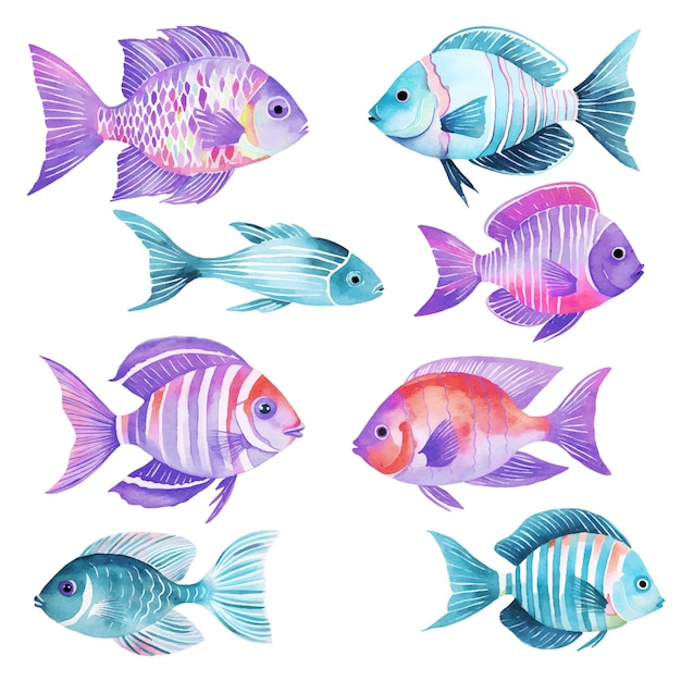 gold fish vector illustrations