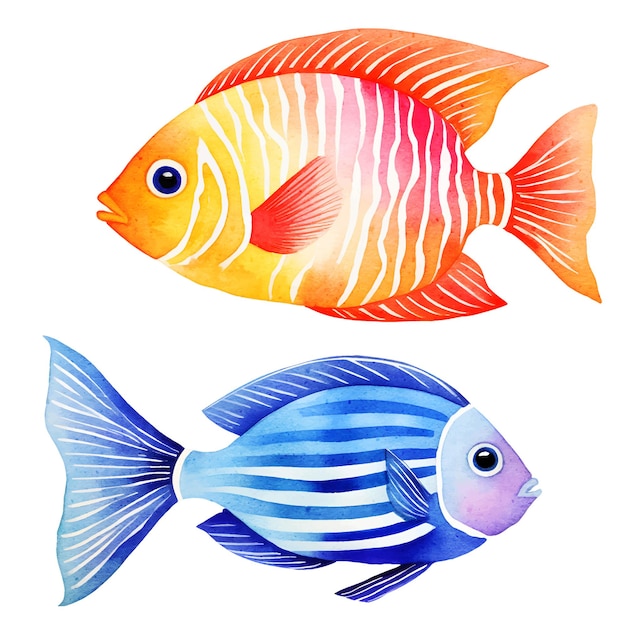 gold fish vector illustrations