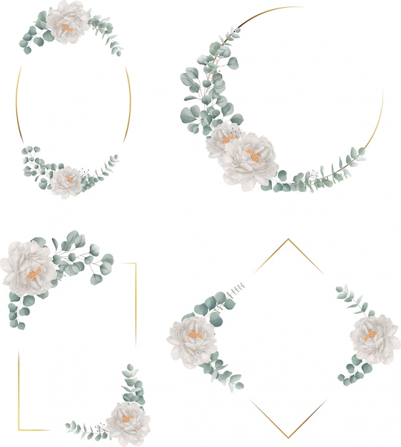 Vector gold frame with peony and eucalytus collection