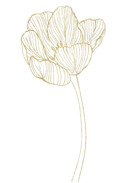 Gold outline drawing of a tulip blossom.