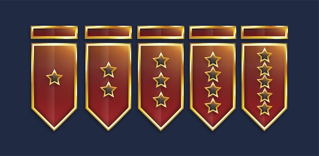 Vector gold shield symbol or badge design with star level