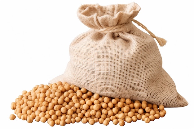 Vector gold soybean with sack isolated peas in bag isolated on white