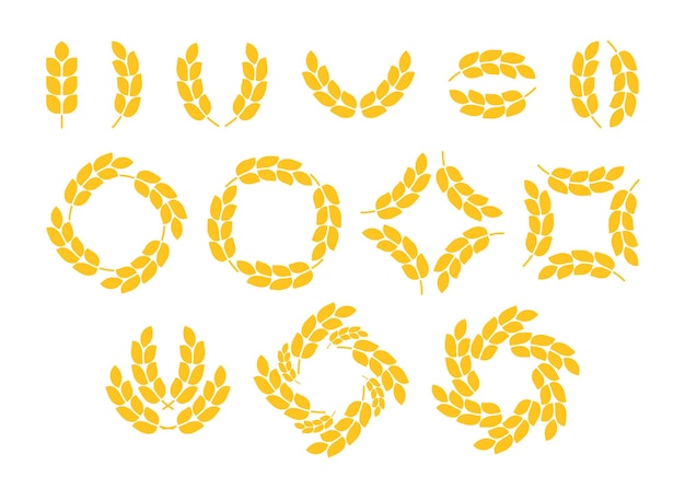 Gold wheat grain ear set circle wreath frame. Bread grains wheat barley corn oat ear. Plant cereal