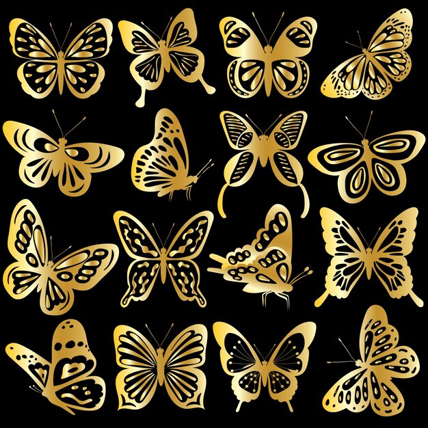 Белые бабочки с золотом. Золотая бабочка. Butterfly Gold