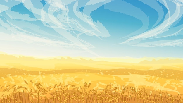 Golden color field with wheat blue sky