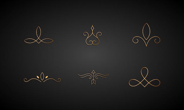 Vector golden flower and frame icon