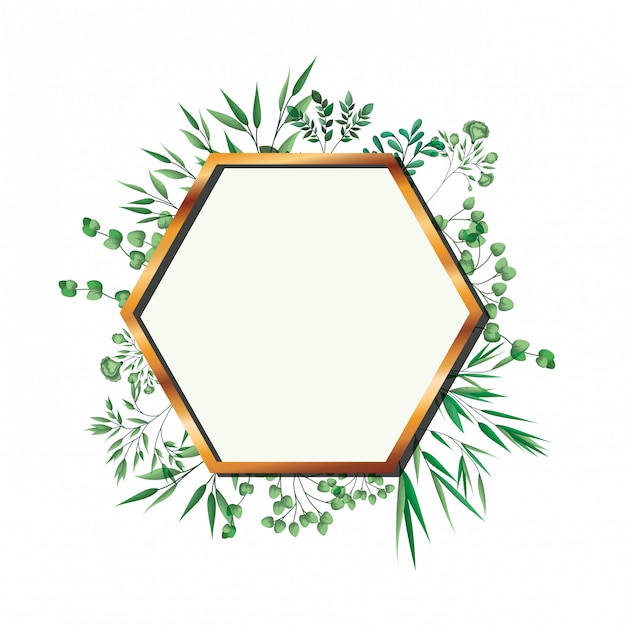 golden frame hexagon with foliage isolated