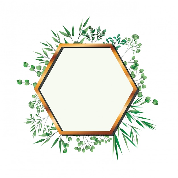 Golden frame hexagon with foliage isolated