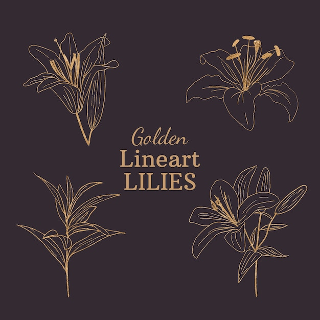 Golden Lineart-lelies