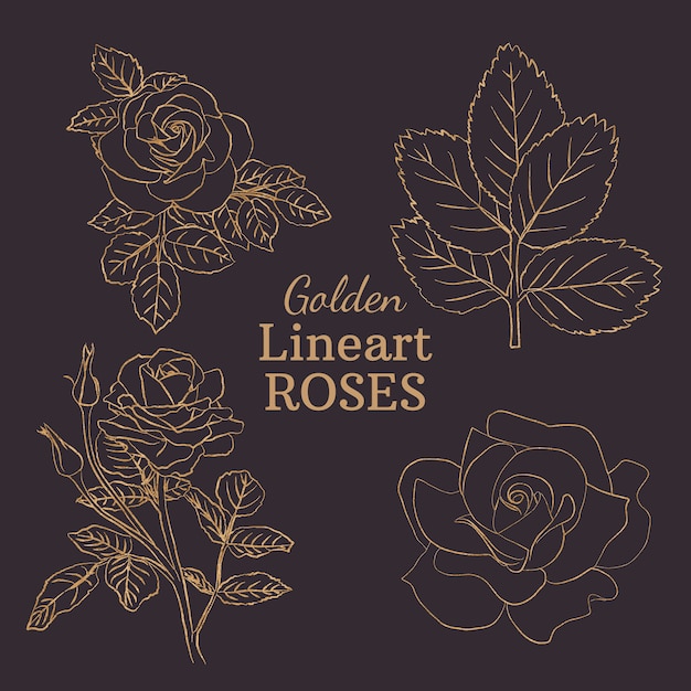 Golden lineart roses