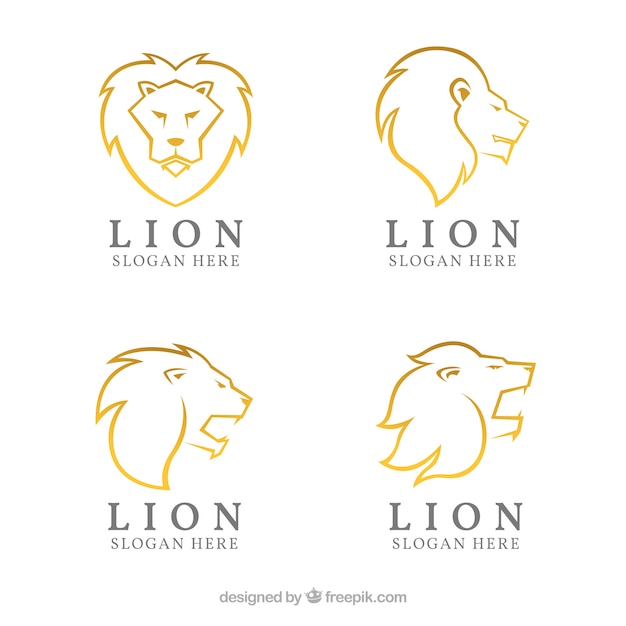 Vector golden lion logos