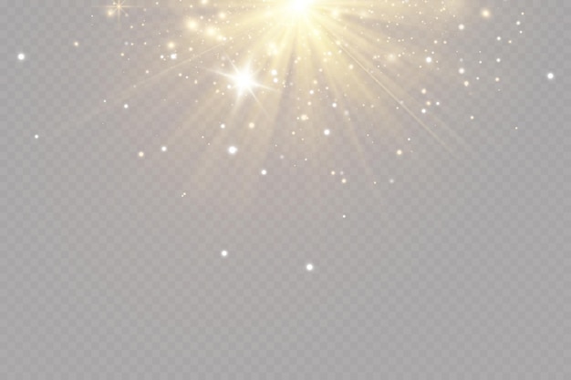 Golden particles of light. Golden light. Light flare.Stars isolated on transparent background.