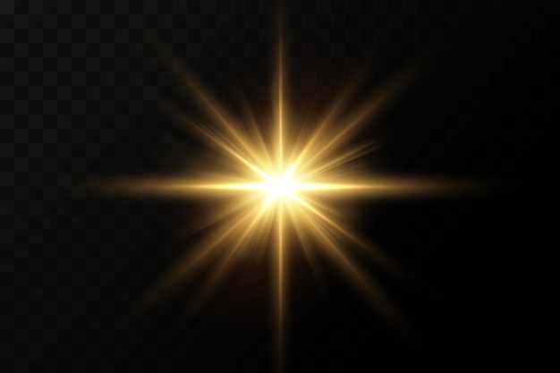 Golden particles of light. golden light. light flare.stars isolated on transparent background.