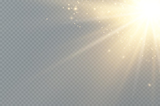 Golden particles of light. Golden light. Light flare.Stars isolated on transparent background