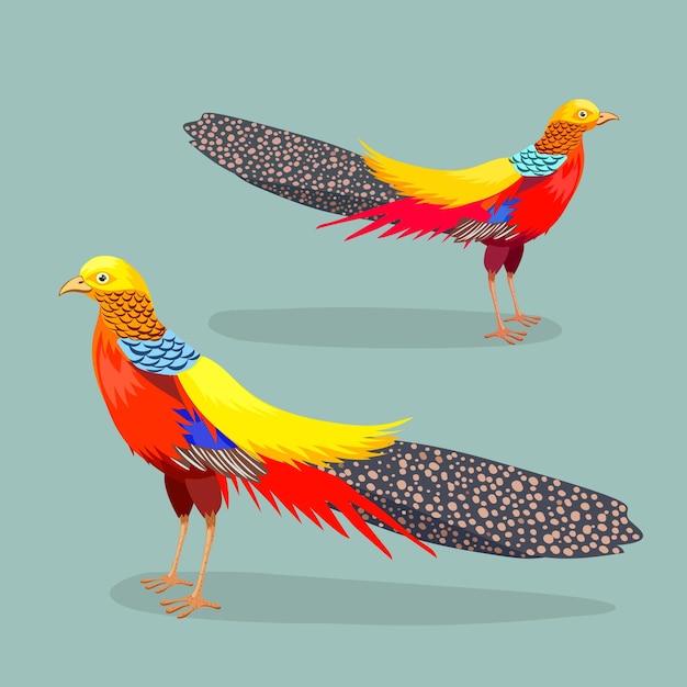 Золотой фазан Дикая птица из семейства куриных Векторная иллюстрация