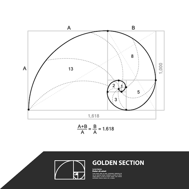 Vector golden ratio for creative design .