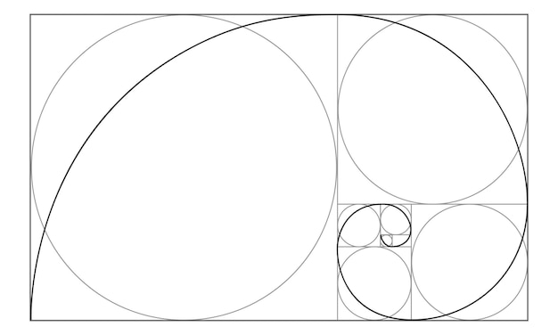 Segno del rapporto aureo spirale logaritmica in rettangolo con quadrati e cerchi sequenza di fibonacci