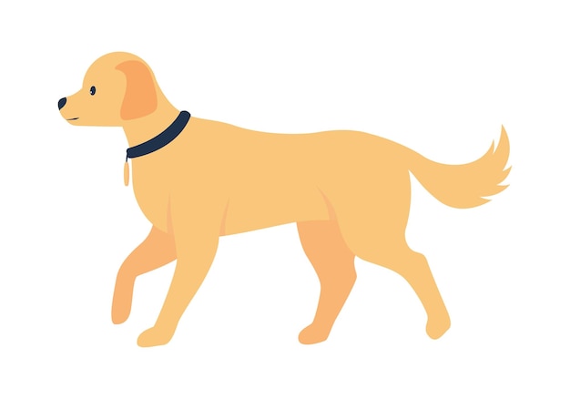 Golden retriever adoption semi flat color vector character