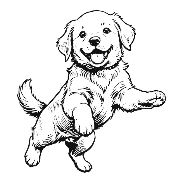 Vettore golden retriever dog puppy disegnato a mano inciso a inchiostro line art sketch illustrazione