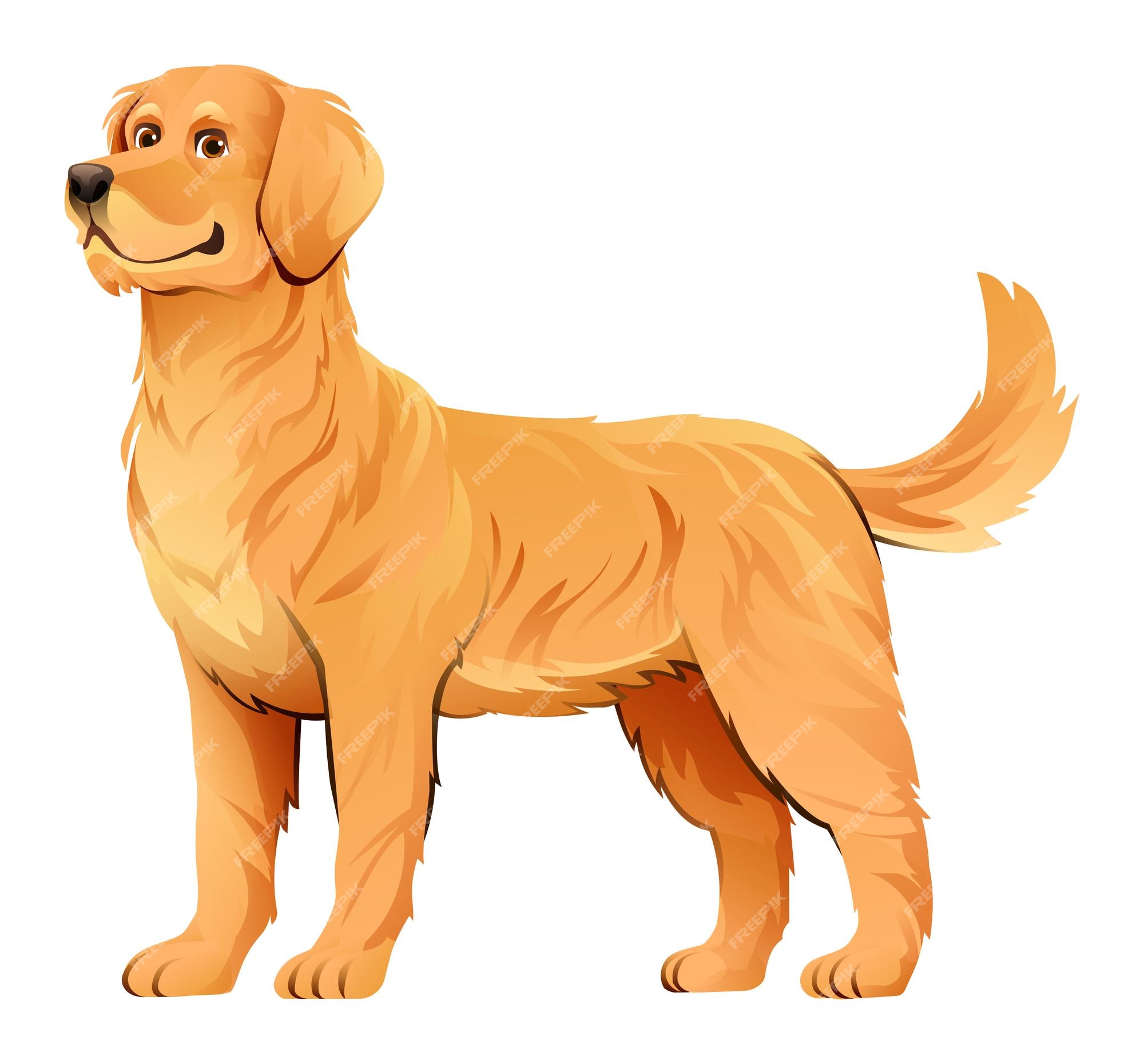 Premium Vector | Golden retriever dog vector cartoon illustration