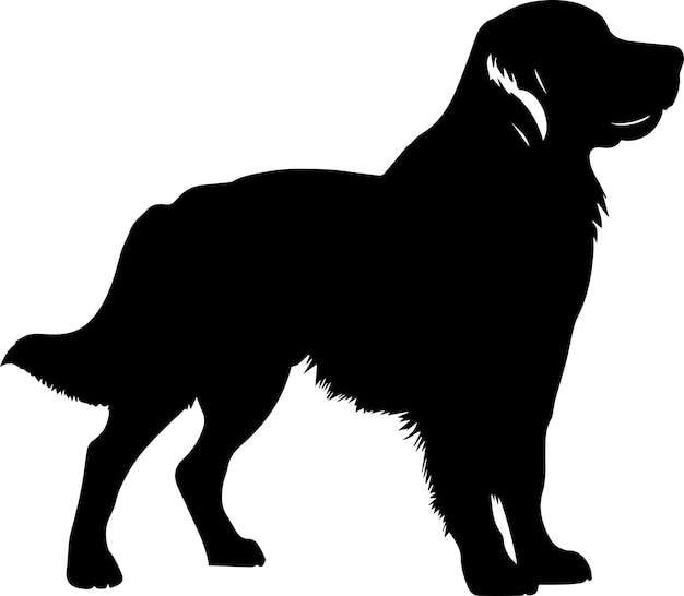 Golden Retriever Dog Vector silhouette illustration