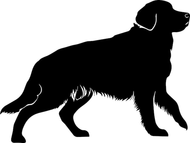 Golden Retriever Dog Vector silhouette illustration