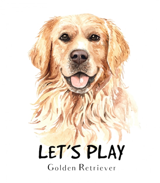 Vector golden retriever dog watercolor for printing.