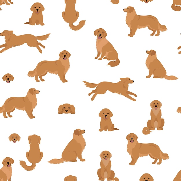 Golden retriever dogs in different poses and coat colors Seamless pattern