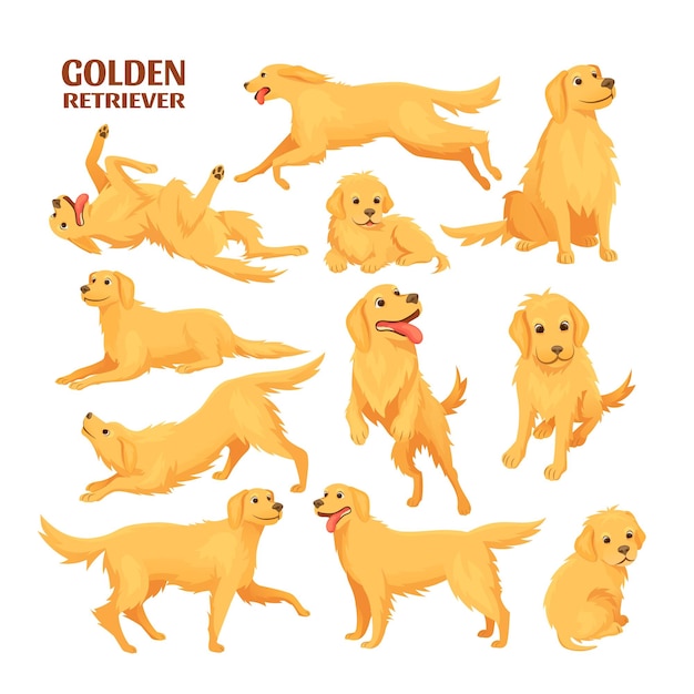 Golden retriever divertente labrador baby pet simpatici labrador seduto salto correre cane sedersi cartone animato adulto e cucciolo retriever doggy pose cuccioli in esecuzione set icona illustrazione vettoriale esatta