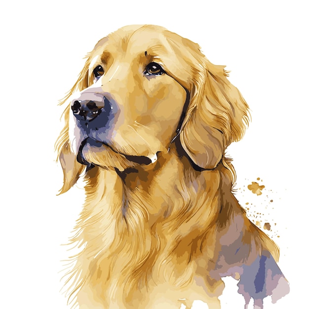 Vector golden retriever hond aquarel schilderij