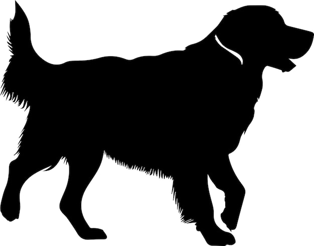 Golden Retriever Hond Vector silhouet illustratie