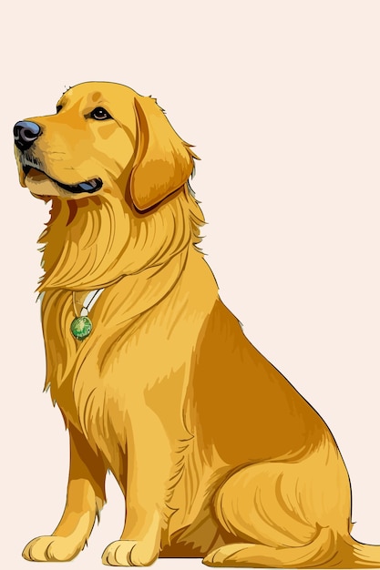 Vettore illustrazione vettoriale golden retriever splendidamente isolata su sfondo bianco