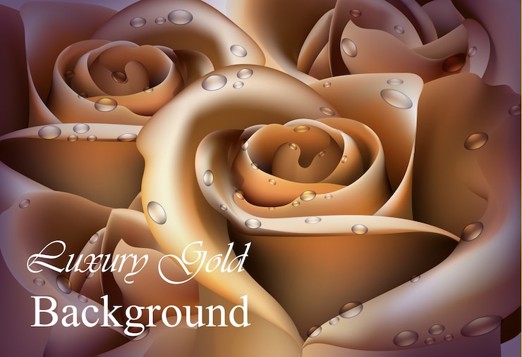 Vector golden rose flower illustration