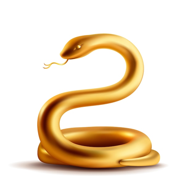 golden snake on plain background isolated
