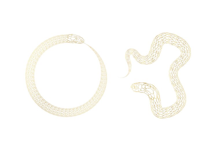 Vector golden snake silhouette vector outline symbol 2025 isolated on white background